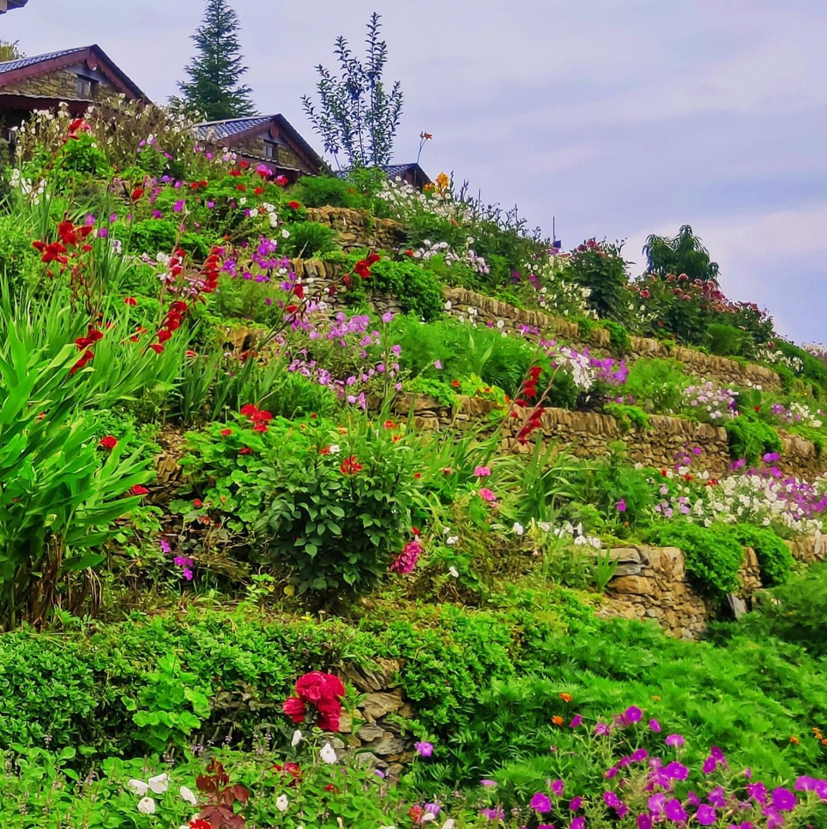 Meraki Huts Pauri Exterior photo